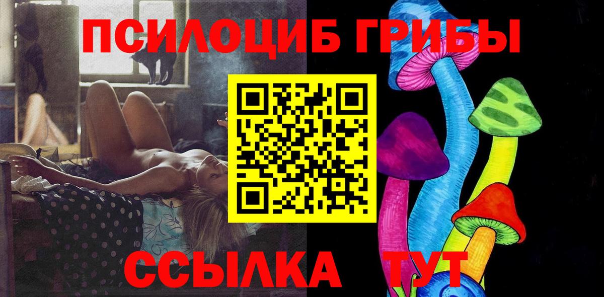 Галлюциногенные грибы прущие грибы  купить  цена  Саратов  Вход с VPN 