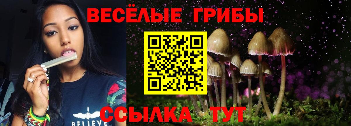 Галлюциногенные грибы GOLDEN TEACHER Саратов